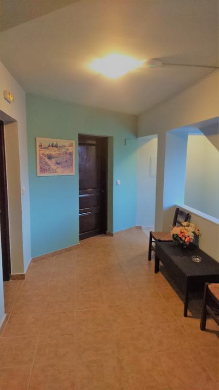 Doras Zante Studios & Apartments Argassi Exterior foto